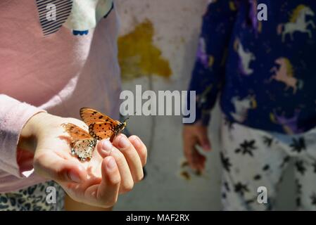 Shelly Cove trail a Cape Pallarenda Conservation Park Queensland Australia Foto Stock