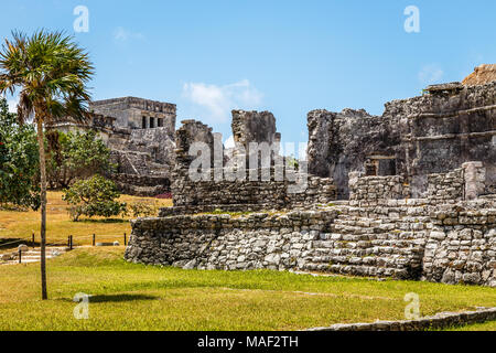 Vecchio rovinato antichi templi Maya con palme e cielo blu, Tulum sito archeologico, la penisola dello Yucatan, Messico Foto Stock