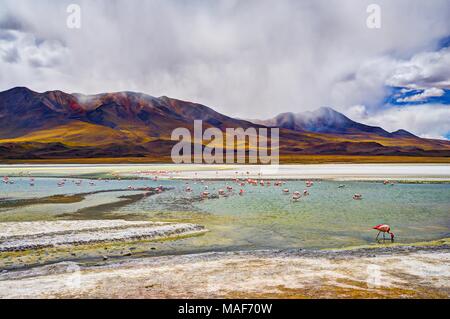 Altiplano Laguna in Bolivia, Southamerica Foto Stock