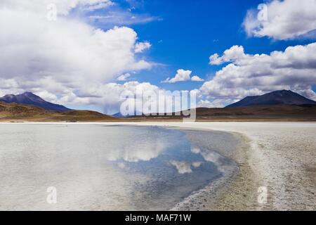 Altiplano Laguna in Bolivia, Southamerica Foto Stock