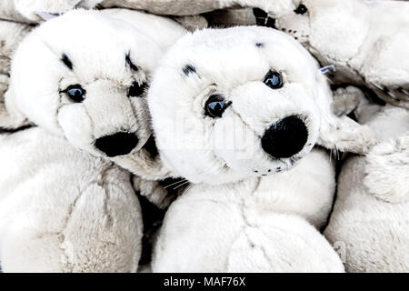 Kuschelige Spielzeug-Seehunde; guarnizioni come giocattoli morbidi Foto Stock
