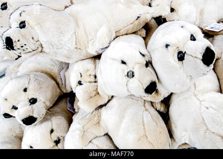 Kuschelige Spielzeug-Seehunde; guarnizioni come giocattoli morbidi Foto Stock