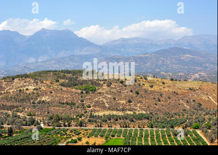 Vista aerea di giardini sulle colline e montagne sullo sfondo Foto Stock