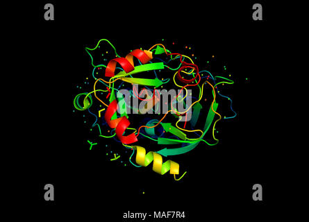 Modello 3D di una molecola di proteina. La spaziale struttura orientata della macromolecola. Foto Stock