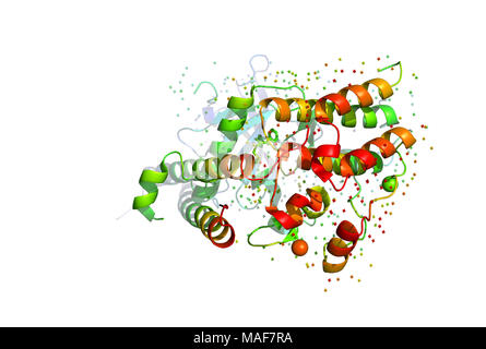 Modello 3D di una molecola di proteina. La spaziale struttura orientata della macromolecola. Foto Stock