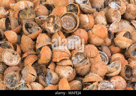 Pila di scartare i gusci di noce di cocco Foto Stock