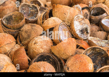 Pila di scartare i gusci di noce di cocco Foto Stock