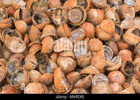 Pila di scartare i gusci di noce di cocco Foto Stock