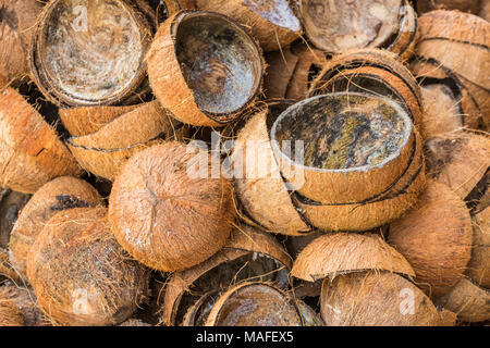 Pila di scartare i gusci di noce di cocco Foto Stock
