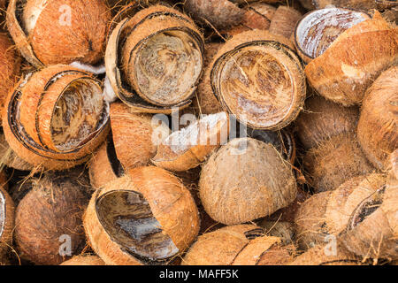 Pila di scartare i gusci di noce di cocco Foto Stock