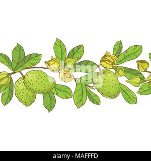 Rami soursop vector pattern su sfondo bianco Illustrazione Vettoriale