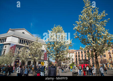 Il teatro reale. Isabel II Square, Madrid, Spagna. Foto Stock