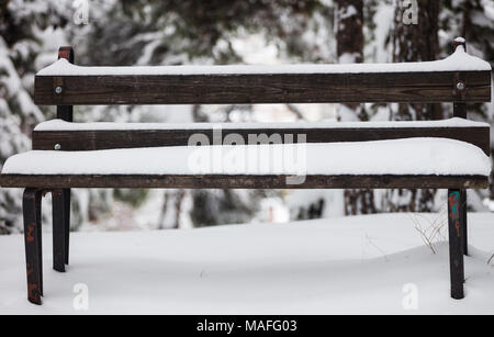 Il bianco della neve copre un di legno sbucciato banco. Stagione invernale, la natura al parco con sfocate alberi congelati sfondo. Close up vista frontale. Foto Stock