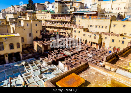 Artigiani del cuoio di tintura a Chaouwara concerie di Fez, Marocco Foto Stock