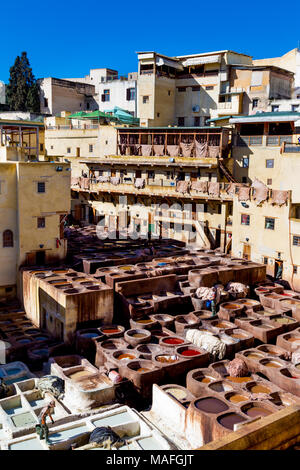 Artigiani del cuoio di tintura a Chaouwara concerie di Fez, Marocco Foto Stock