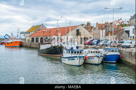 New Scenic 5 posti in vista Pittenweem, in Fife, sulla costa orientale della Scozia. Foto Stock