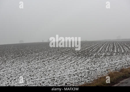 Campo arato polverato di neve in fitta nebbia durante l'inverno vicino a Wath upon Dearne, South Yorkshire, Inghilterra Foto Stock