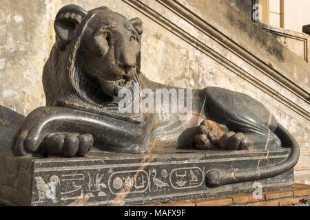 Uno dei due distese di granito lion statue realizzate per il Faraone Nectanebo I, il Cortile della Pigna, il Museo del Vaticano, Roma, lazio, Italy. Foto Stock