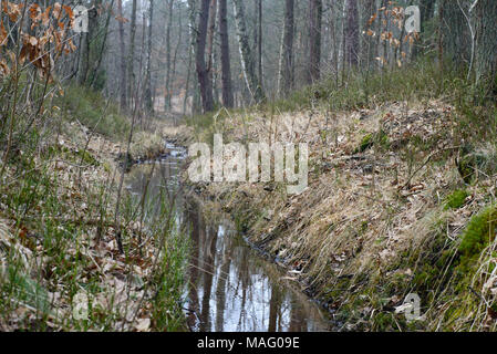 Il Fosso di Irrigazione in foresta umida Foto Stock