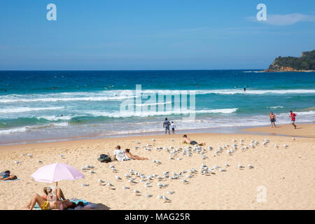 Manly Beach sulle spiagge settentrionali di Sydney in una soleggiata giornata autunnale, Sydney, Australia Foto Stock