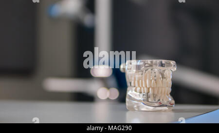 Close up, vista di lato di un mascellare superiore e inferiore modello utilizzato in odontoiatria come uno strumento educativo. Foto Stock