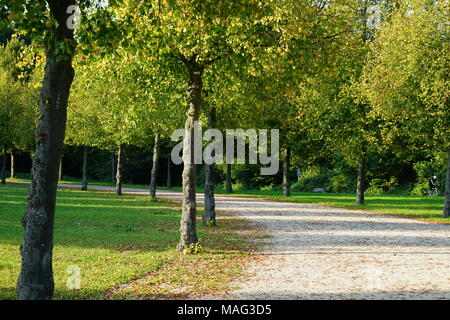 Vicolo, GreenBelt, Francoforte, Germania, Foto Stock