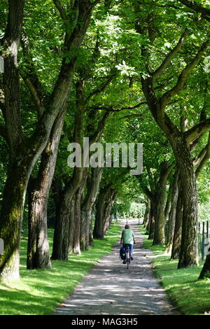 Francoforte sul Meno, Germania, Foto Stock