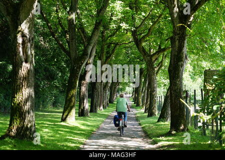 Francoforte sul Meno, Germania, Foto Stock