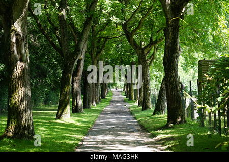 Francoforte sul Meno, Germania, Foto Stock