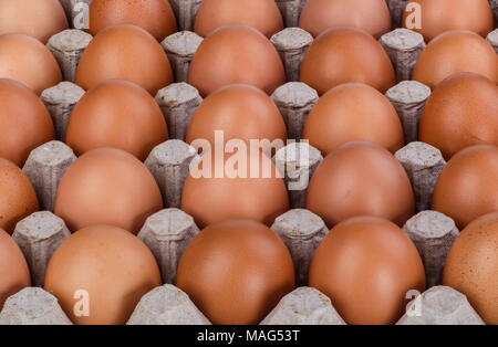 Più righe di colore marrone uova di gallina Foto Stock