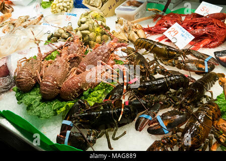 Le aragoste in Vendita in La Boqueria il mercato coperto vicino a La Rambla, Barcelona, Spagna Foto Stock