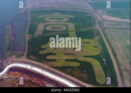 , Yangzhou Yangzhou, Cina. 1 apr, 2018. Yangzhou, Cina-1st Aprile 2018: una vista a volo di uccello del Gaoyou Jiaoye Park di Yangzhou, est cinese della provincia di Jiangsu. Credito: SIPA Asia/ZUMA filo/Alamy Live News Foto Stock