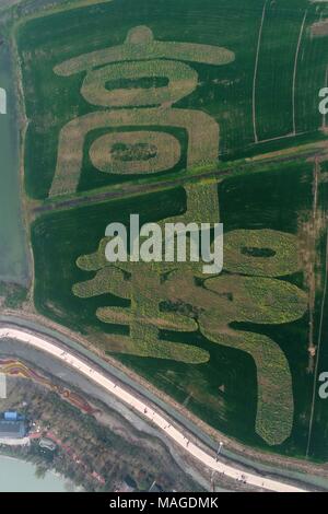 , Yangzhou Yangzhou, Cina. 1 apr, 2018. Yangzhou, Cina-1st Aprile 2018: una vista a volo di uccello del Gaoyou Jiaoye Park di Yangzhou, est cinese della provincia di Jiangsu. Credito: SIPA Asia/ZUMA filo/Alamy Live News Foto Stock