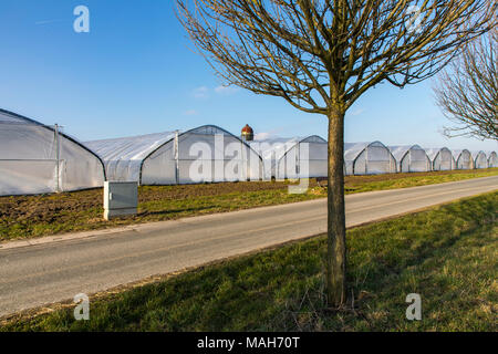 Agricoltura, allevamento, serre, mobile, realizzato in materiale plastico, tunnel di plastica, per la rapida crescita delle colture, vegetali, frutti nel campo, anche prima di t Foto Stock