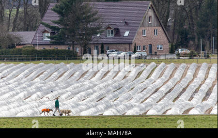 Agricoltura, allevamento, serre, mobile, realizzato in materiale plastico, tunnel di plastica, per la rapida crescita delle colture, vegetali, frutti nel campo, anche prima di t Foto Stock