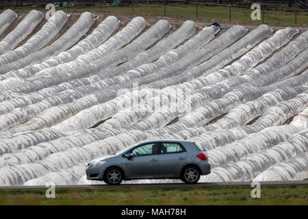 Agricoltura, allevamento, serre, mobile, realizzato in materiale plastico, tunnel di plastica, per la rapida crescita delle colture, vegetali, frutti nel campo, anche prima di t Foto Stock