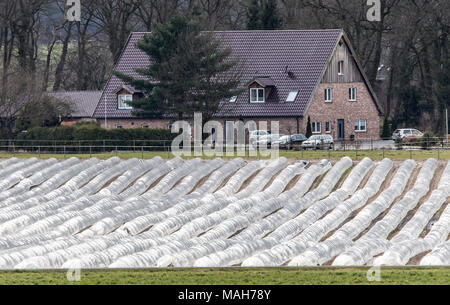 Agricoltura, allevamento, serre, mobile, realizzato in materiale plastico, tunnel di plastica, per la rapida crescita delle colture, vegetali, frutti nel campo, anche prima di t Foto Stock