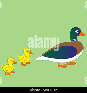 Cartoon duck mom con i suoi anatroccoli su una passeggiata. Illustrazione Vettoriale