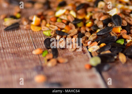 Bird seme sparso su un tavolo di legno Foto Stock