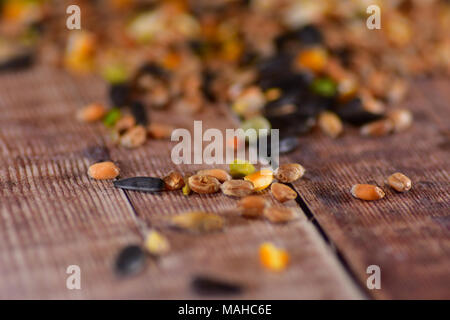 Bird seme sparso su un tavolo di legno Foto Stock