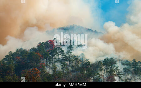 Fumo che riempie l'aria dagli incendi selvatici, Great Smoky Mountains NP, TN, USA, novembre 2016, di Bill Lea/Dembinsky Photo Assoc Foto Stock