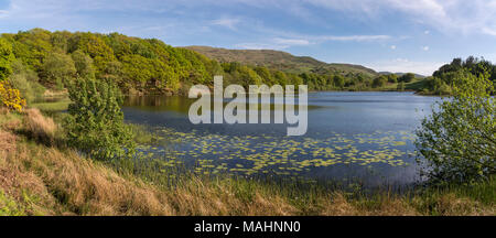 Llyn Tecwyn Isaf, un lago naturale di colline vicino a Harlech, il Galles del Nord. Sole primaverile sul verde intorno al lago. Foto Stock