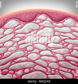 Interstizio il concetto di organo come tessuto connettivo con comparments riempita con il fluido come un microcopic anatomica concettuale parte di corpo umano in un 3D illus Foto Stock