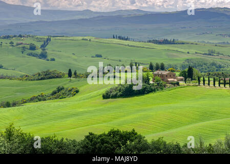 PIENZA, TOSCANA/Italia - 20 maggio : campagna della Val d'Orcia a Pienza il 20 maggio 2013 Foto Stock