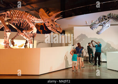 I visitatori del museo guardando gli scheletri di dinosauri, Houston Museo di Scienza Naturale, Houston, Texas, Stati Uniti d'America Foto Stock