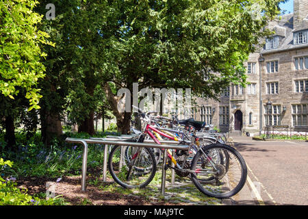 Biciclette in un portabicicletta al di fuori di San Salvator il sale, saloni dello studente di residenza all'Università di St Andrews. Royal Burgh di St Andrews Fife, Scozia Foto Stock