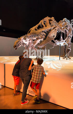 Madre e bambini guardando gli scheletri di dinosauri, Houston Museo di Scienza Naturale, Houston Texas USA Foto Stock