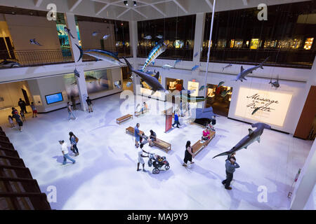 Gli ospiti nella lobby all'entrata, Houston Museo di Scienza Naturale, Houston, Texas, Stati Uniti d'America Foto Stock