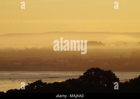 Misty Orange Dawn, scontornamento Woodland affacciato sul Exe estuario. Da Powderham. Devon, Regno Unito. Giugno, 2017. Foto Stock