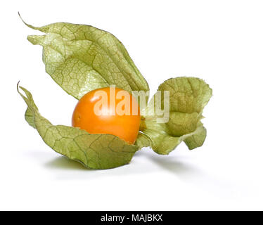 Physalis isolate o in inverno ciliegia, frutta fresca su sfondo bianco. Ribes maturi, disposizione. Foto Stock